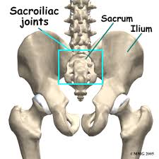 sacrum