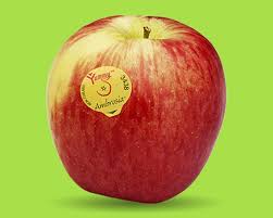 ambrosia apple